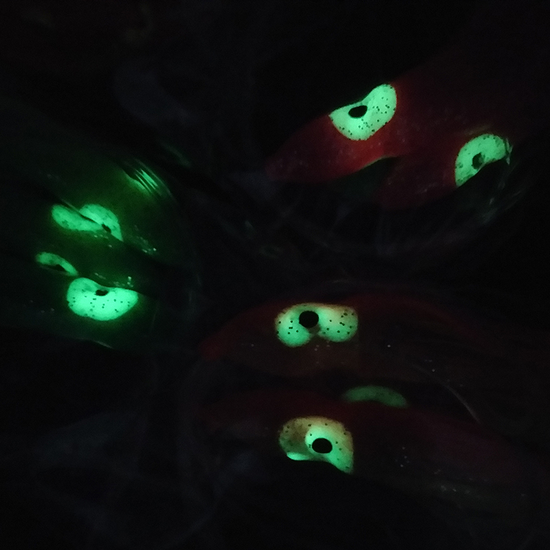 Isca Artificial Lunker Sabiki  - Furoshiki avaliação e preço